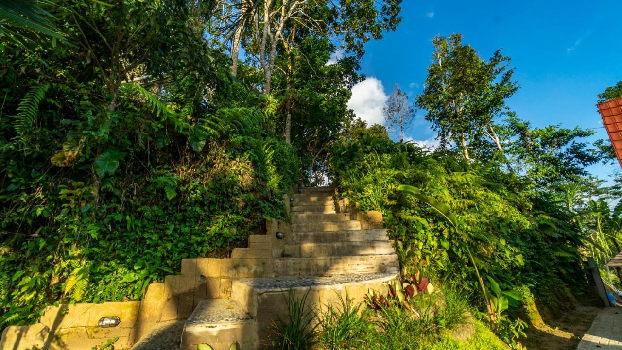 Anja Villas Ubud Tegallalang  Extérieur photo